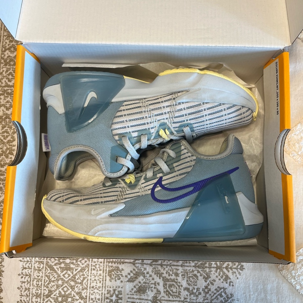 Lebron Witness VI basketball sneakers